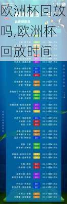 欧洲杯回放吗,欧洲杯回放时间