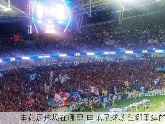 申花足球场在哪里,申花足球场在哪里建的