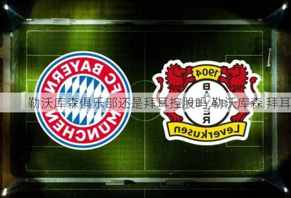 勒沃库森俱乐部还是拜耳控股吗,勒沃库森 拜耳