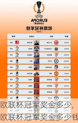 欧联杯冠军奖金多少,欧联杯冠军奖金多少钱