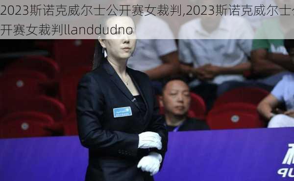 2023斯诺克威尔士公开赛女裁判,2023斯诺克威尔士公开赛女裁判llanddudno