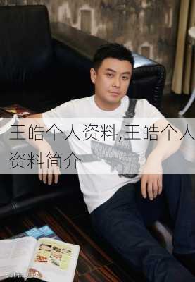 王皓个人资料,王皓个人资料简介