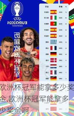 欧洲杯冠军能拿多少奖金,欧洲杯冠军能拿多少奖金啊