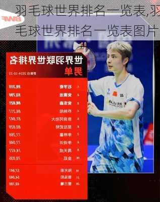 羽毛球世界排名一览表,羽毛球世界排名一览表图片