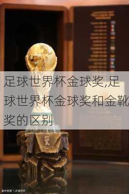 足球世界杯金球奖,足球世界杯金球奖和金靴奖的区别