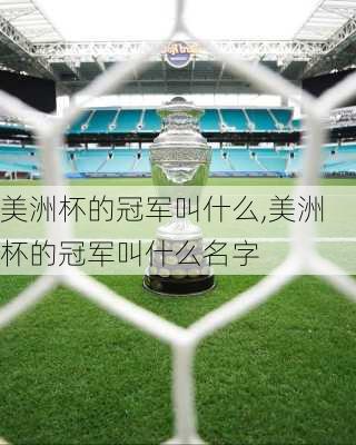 美洲杯的冠军叫什么,美洲杯的冠军叫什么名字