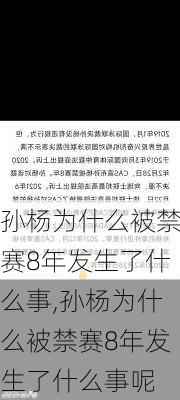 孙杨为什么被禁赛8年发生了什么事,孙杨为什么被禁赛8年发生了什么事呢