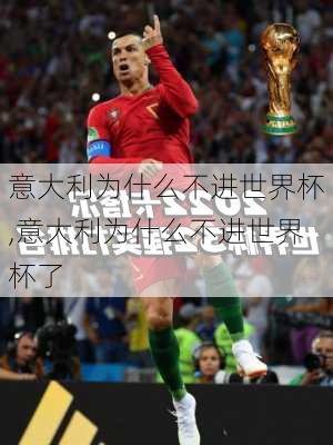 意大利为什么不进世界杯,意大利为什么不进世界杯了