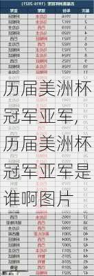 历届美洲杯冠军亚军,历届美洲杯冠军亚军是谁啊图片