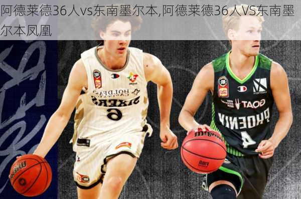 阿德莱德36人vs东南墨尔本,阿德莱德36人VS东南墨尔本凤凰