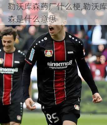 勒沃库森药厂什么梗,勒沃库森是什么意思
