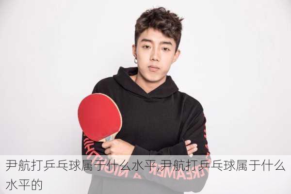 尹航打乒乓球属于什么水平,尹航打乒乓球属于什么水平的