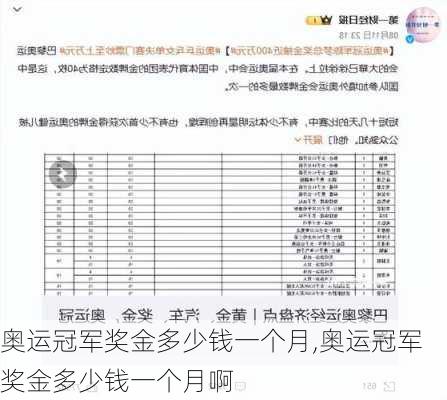 奥运冠军奖金多少钱一个月,奥运冠军奖金多少钱一个月啊