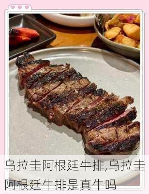 乌拉圭阿根廷牛排,乌拉圭阿根廷牛排是真牛吗