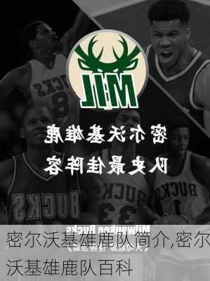 密尔沃基雄鹿队简介,密尔沃基雄鹿队百科