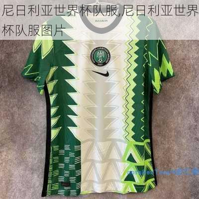 尼日利亚世界杯队服,尼日利亚世界杯队服图片