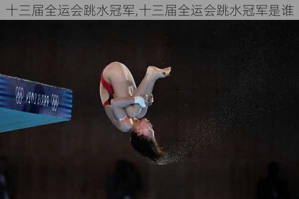 十三届全运会跳水冠军,十三届全运会跳水冠军是谁