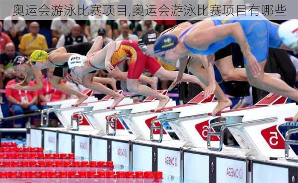 奥运会游泳比赛项目,奥运会游泳比赛项目有哪些