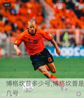 博格坎普多少号,博格坎普是几号