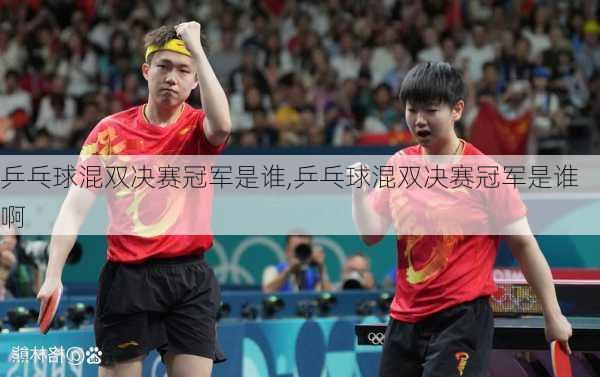 乒乓球混双决赛冠军是谁,乒乓球混双决赛冠军是谁啊