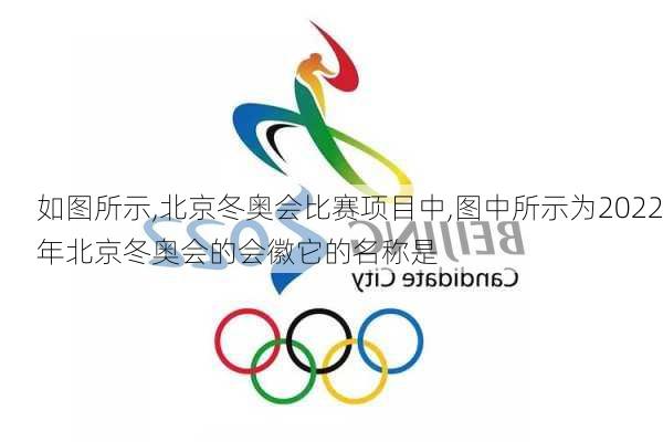 如图所示,北京冬奥会比赛项目中,图中所示为2022年北京冬奥会的会徽它的名称是