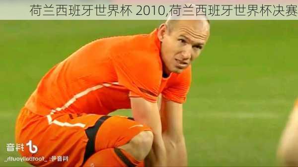 荷兰西班牙世界杯 2010,荷兰西班牙世界杯决赛