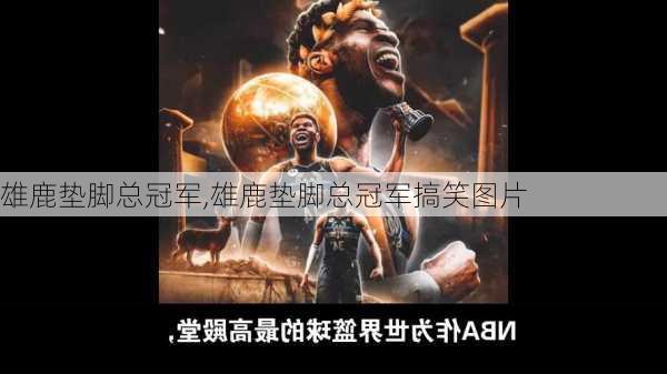 雄鹿垫脚总冠军,雄鹿垫脚总冠军搞笑图片