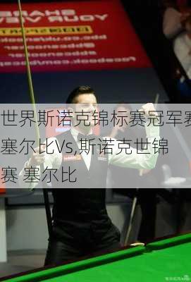 世界斯诺克锦标赛冠军赛塞尔比Vs,斯诺克世锦赛 塞尔比