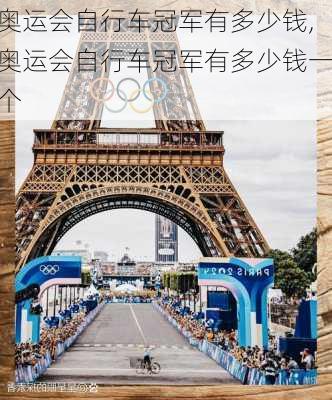 奥运会自行车冠军有多少钱,奥运会自行车冠军有多少钱一个