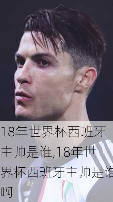 18年世界杯西班牙主帅是谁,18年世界杯西班牙主帅是谁啊