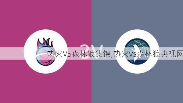 热火VS森林狼集锦,热火vs森林狼央视网