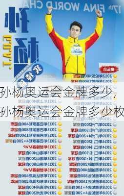 孙杨奥运会金牌多少,孙杨奥运会金牌多少枚