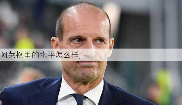 阿莱格里的水平怎么样,