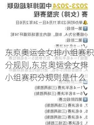 东京奥运会女排小组赛积分规则,东京奥运会女排小组赛积分规则是什么