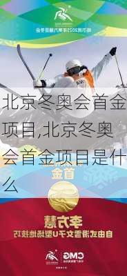 北京冬奥会首金项目,北京冬奥会首金项目是什么