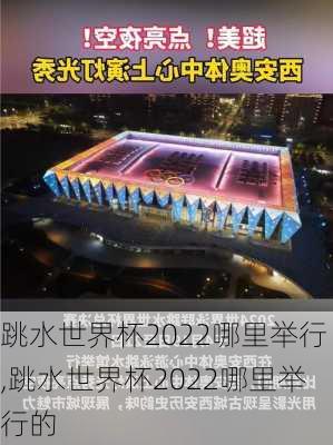 跳水世界杯2022哪里举行,跳水世界杯2022哪里举行的