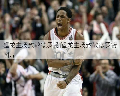 猛龙主场致敬德罗赞,猛龙主场致敬德罗赞图片
