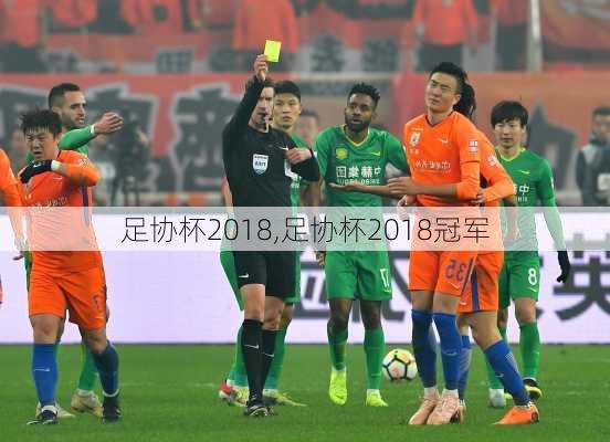 足协杯2018,足协杯2018冠军