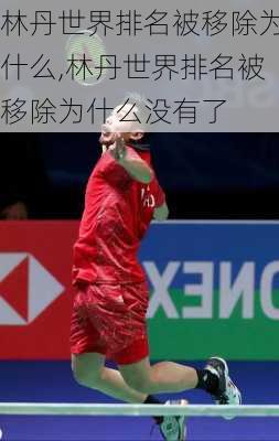 林丹世界排名被移除为什么,林丹世界排名被移除为什么没有了