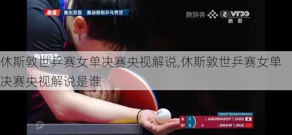 休斯敦世乒赛女单决赛央视解说,休斯敦世乒赛女单决赛央视解说是谁