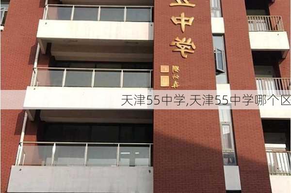 天津55中学,天津55中学哪个区