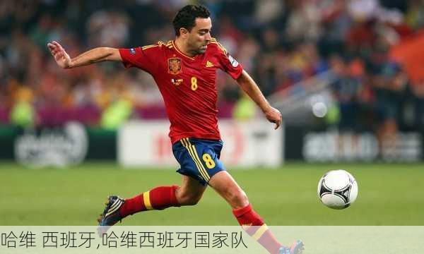 哈维 西班牙,哈维西班牙国家队