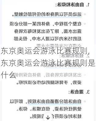 东京奥运会游泳比赛规则,东京奥运会游泳比赛规则是什么