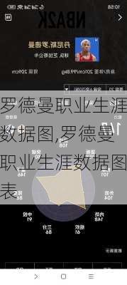 罗德曼职业生涯数据图,罗德曼职业生涯数据图表