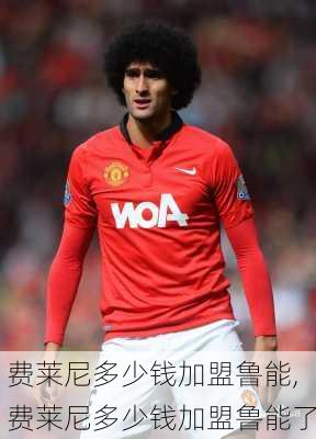 费莱尼多少钱加盟鲁能,费莱尼多少钱加盟鲁能了