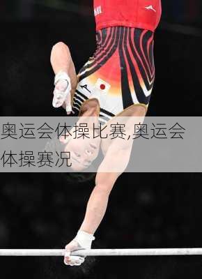奥运会体操比赛,奥运会体操赛况