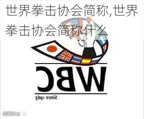 世界拳击协会简称,世界拳击协会简称什么