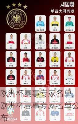 欧洲杯赛事专家名单,欧洲杯赛事专家名单公布