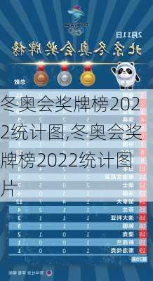 冬奥会奖牌榜2022统计图,冬奥会奖牌榜2022统计图片