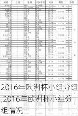 2016年欧洲杯小组分组,2016年欧洲杯小组分组情况